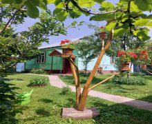 Kirayə (günlük) Həyət evi/villa Qəbələ ş.