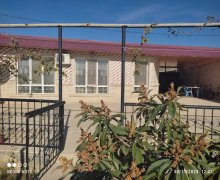 Satılır Həyət evi/villa Saray, Abşeron r.