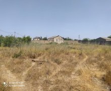 xirdalanda torpaq Xırdalan ş.