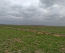 elanlari alqi satqisi elanlari Kürdəmir ş.