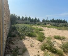 rayonlarda torpaq alqi satqisi Fatmayi, Abşeron r.