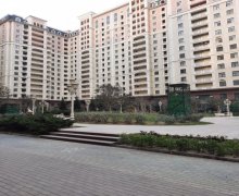 Kirayə (aylıq) Yeni Tikili Elmlər akademiyası m., Yasamal r.