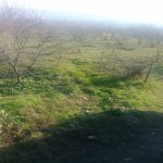 Satılır 6 otaqlı Həyət evi/villa Göyçay 13