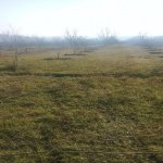 Satılır 6 otaqlı Həyət evi/villa Göyçay 14