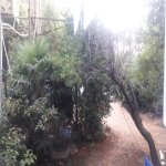 Satılır 3 otaqlı Köhnə Tikili, Qaraçuxur qəs., Suraxanı rayonu 16